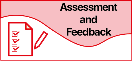 Assessment and Feedback Button